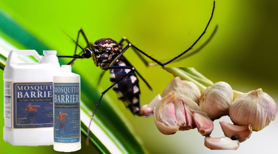 Mosquito Barrier Canada: