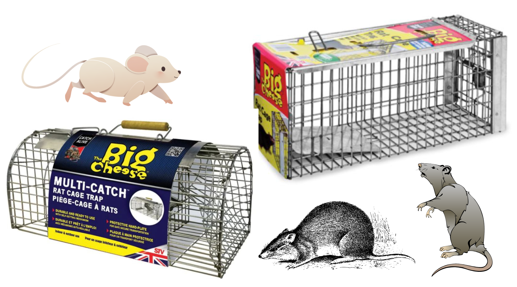 Humane Rat Trap Pest Supply Canada