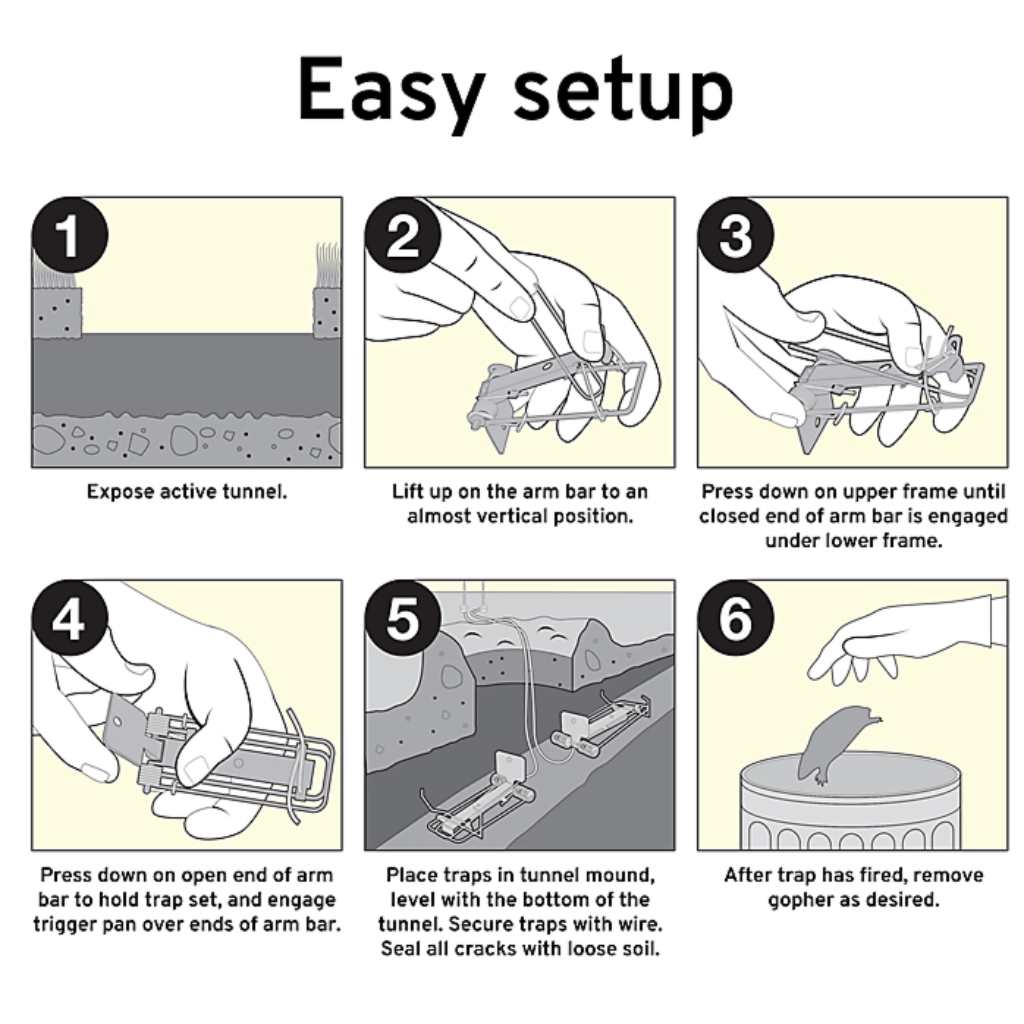 Victor® Easy Set Gopher Trap