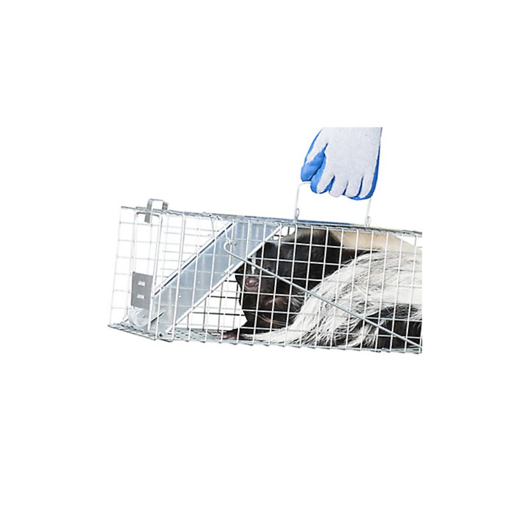Pro Squirrel, Skunk, Rabbit Trap 1 Spring Door 24x7x7"