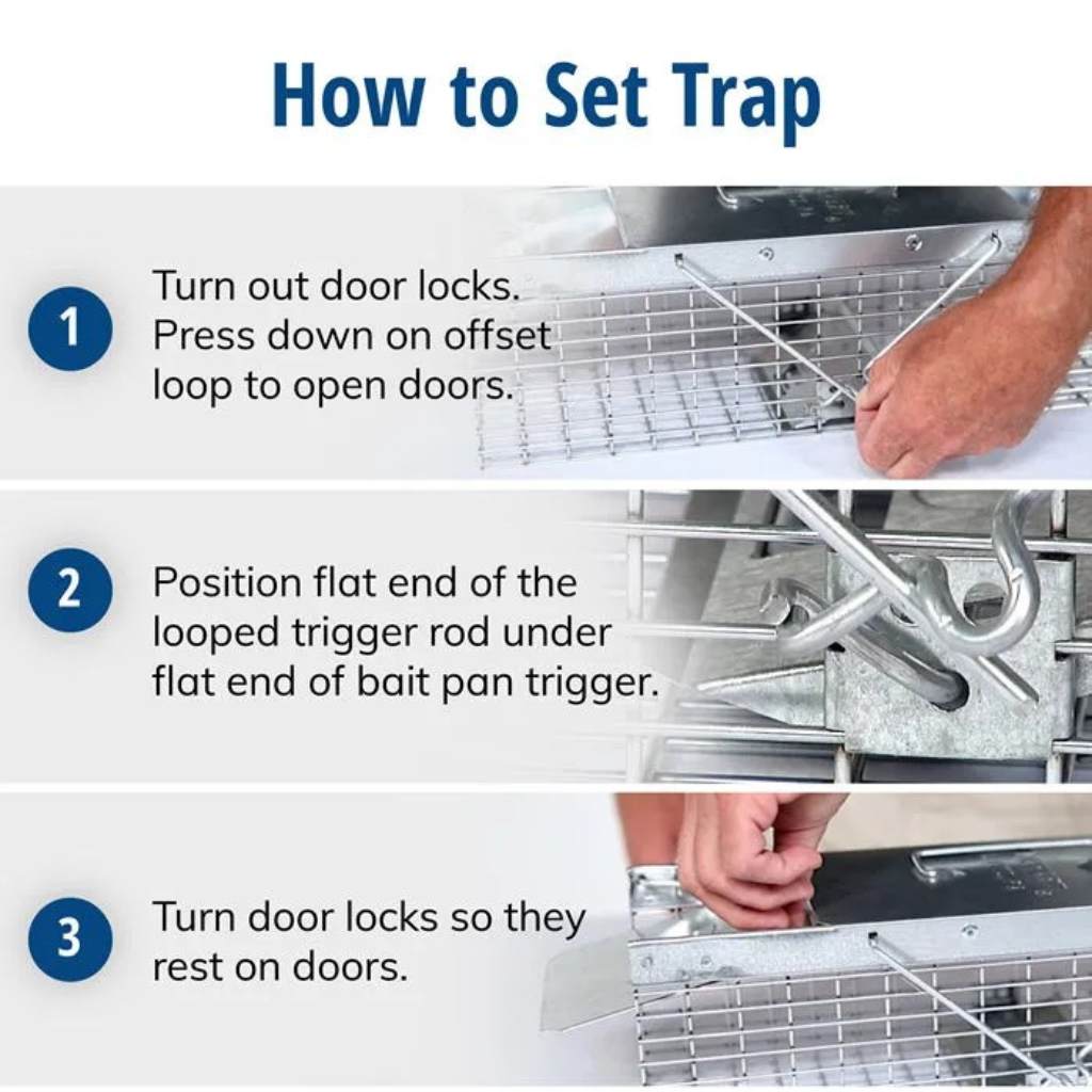 Squirrel Trap Small 2-Door Animal Trap