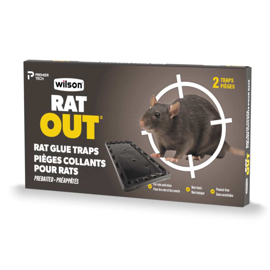 Wilson Predator Rat Glue Trap (2pk)