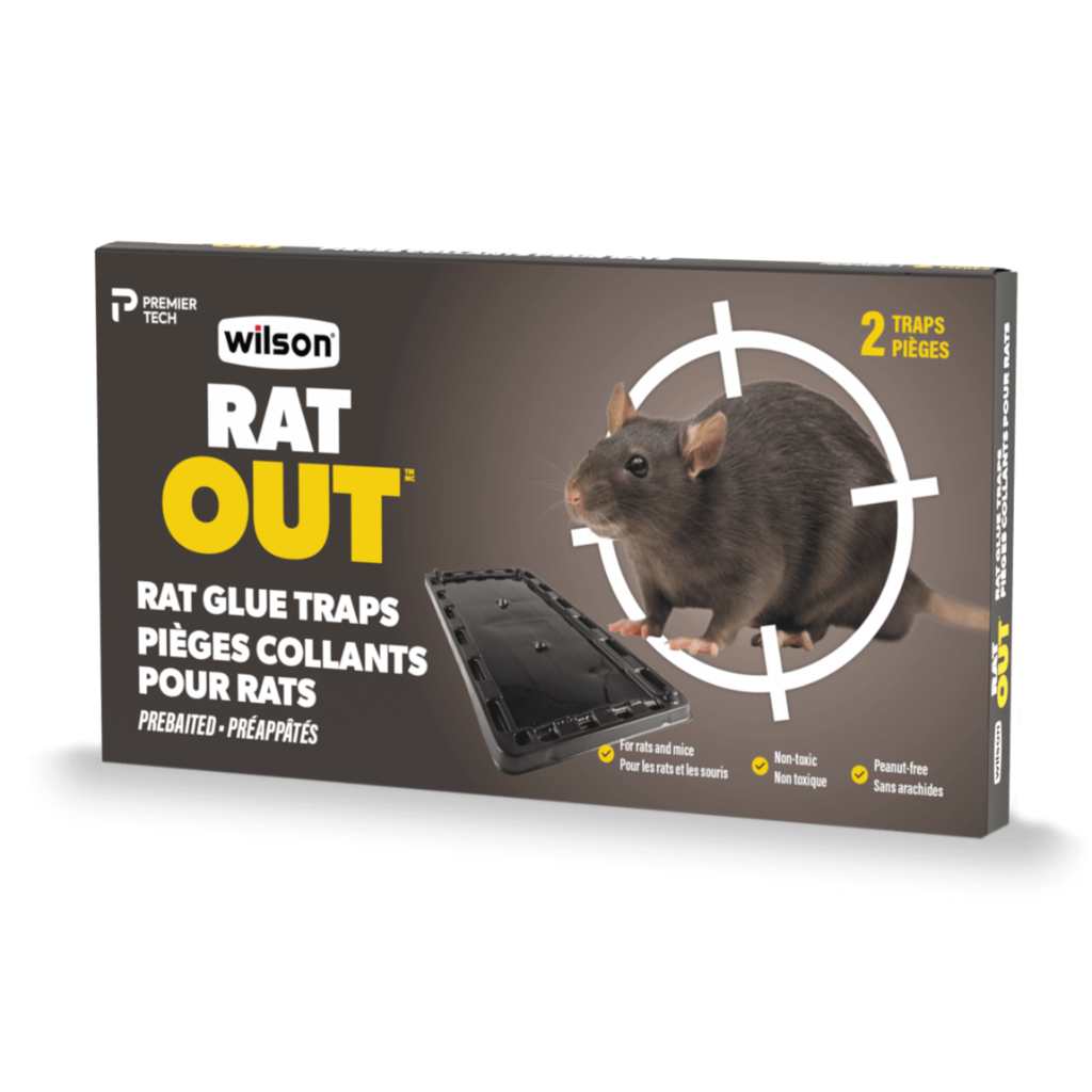 Piège à colle Wilson Predator Rat (2pk)
