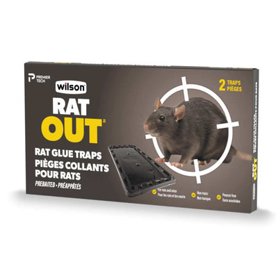 Wilson Predator Rat Glue Trap (2pk)