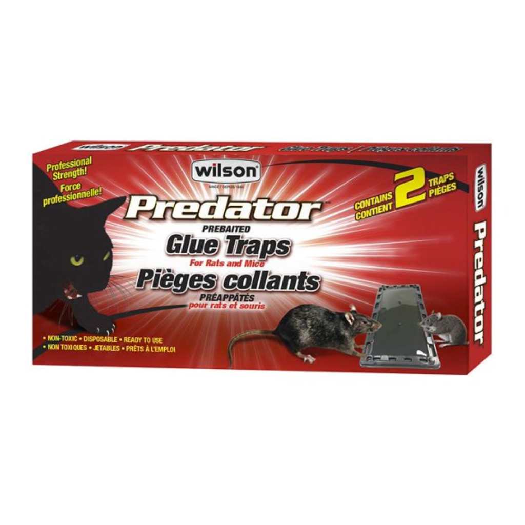 Piège à colle Wilson Predator Rat (2pk)