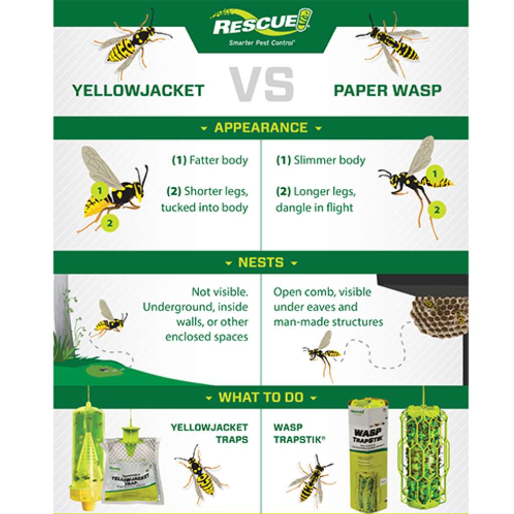 Disposable Yellowjacket Trap Western Canada