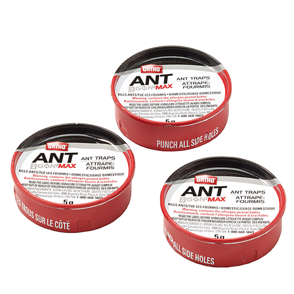 Pièges à fourmis Ortho Ant B Gon Max (lot de 3) 3 x 5 g