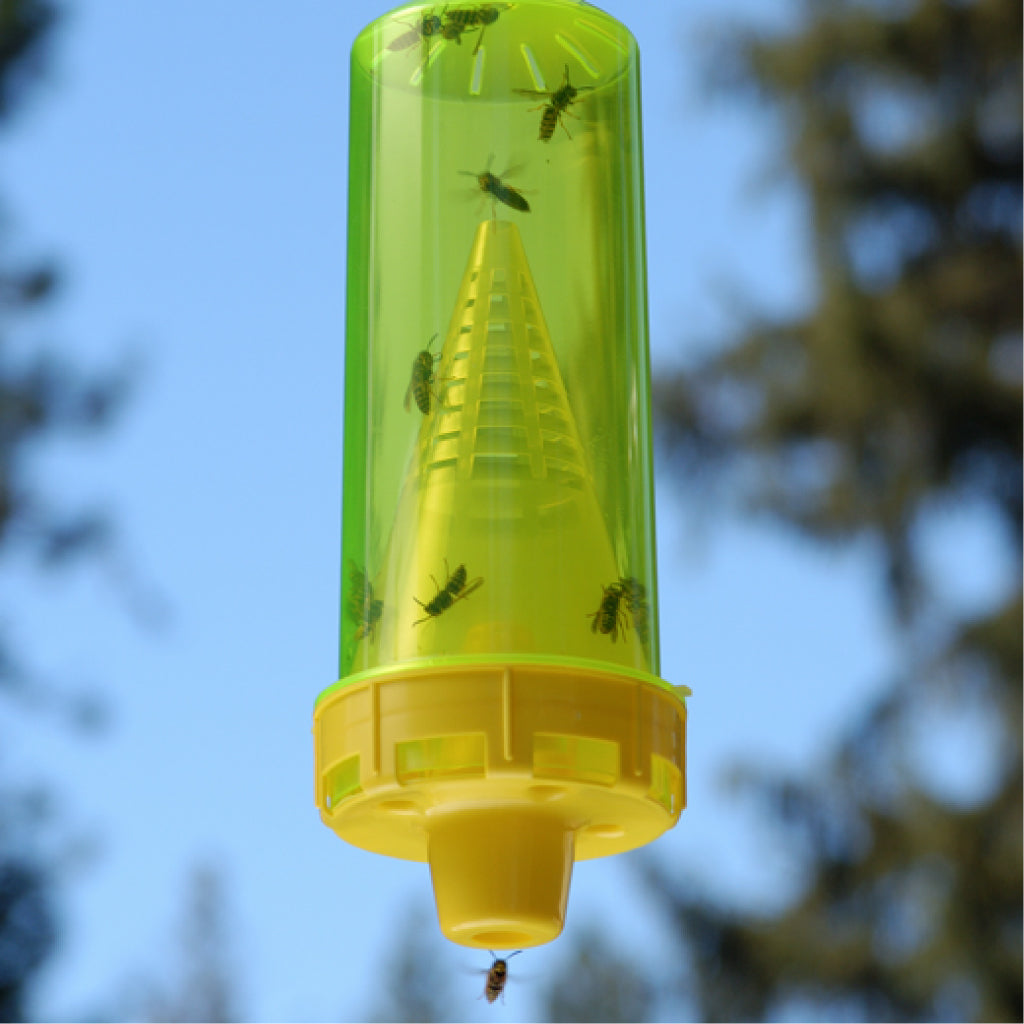 Reusable Yellow Jacket Trap
