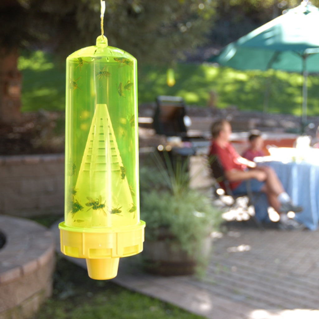 Reusable Yellow Jacket Trap