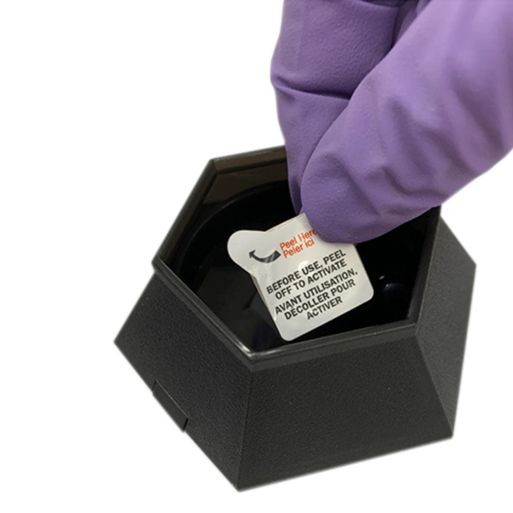 BeapCo Crawling Insect Lure - 12 pack