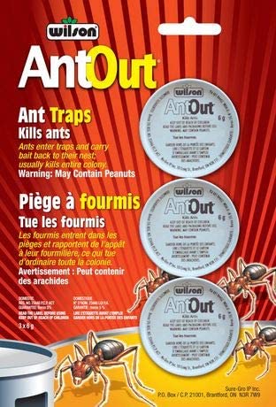 Piège à fourmis (3pk)
