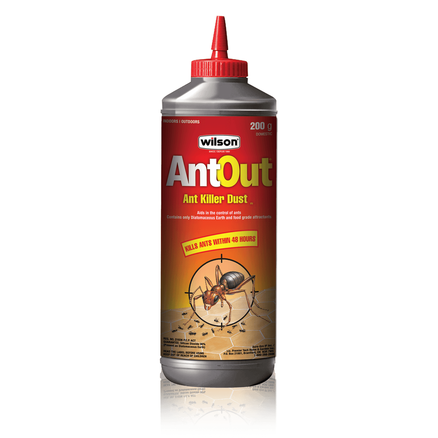 AntOut Ant killer dust 200 g