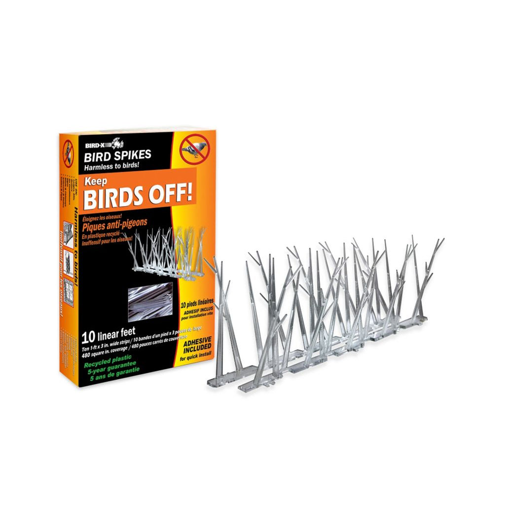 Bird Spikes Polycarbon W/Glue 10' (Sp-10-Nr-C)