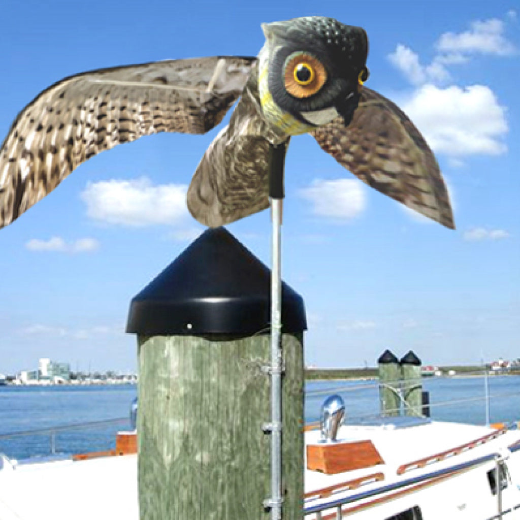 Leurre de hibou Prowler (envergure de 4 pieds)