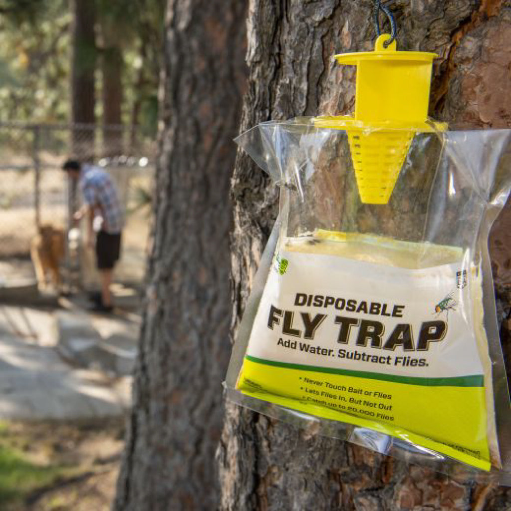 Disposable Fly Trap