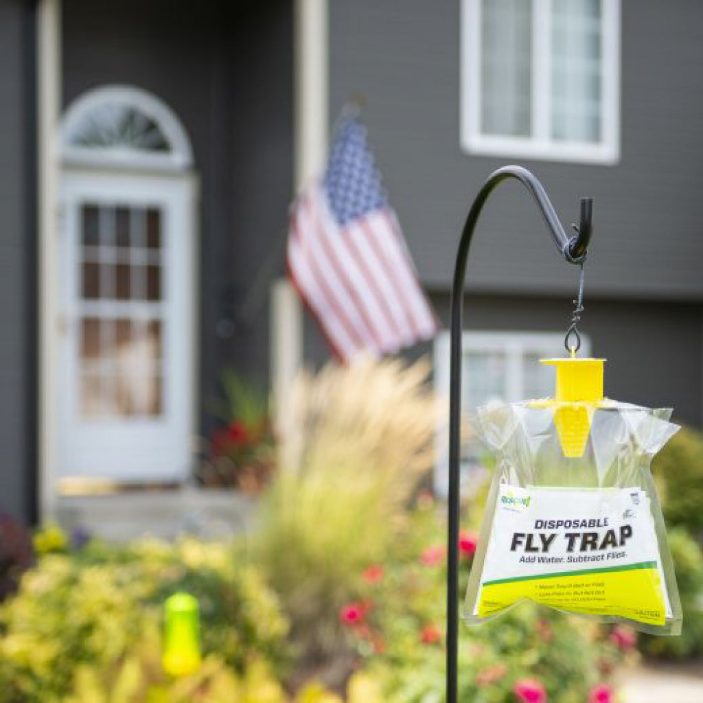Disposable Fly Trap
