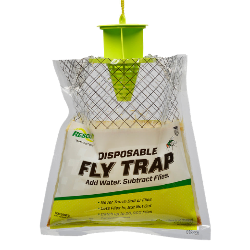 Disposable Fly Trap