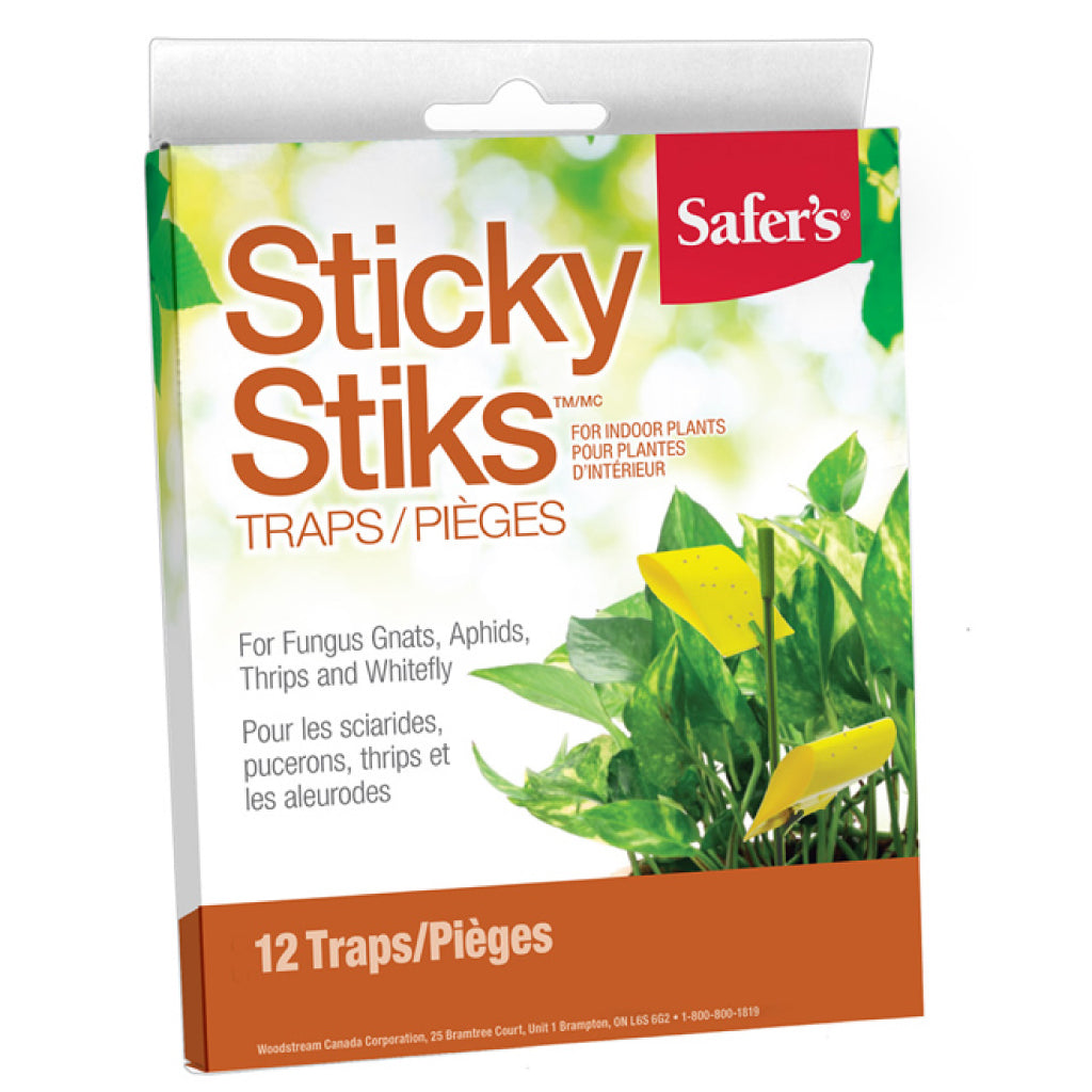 Safers Lot de 12 bâtons collants