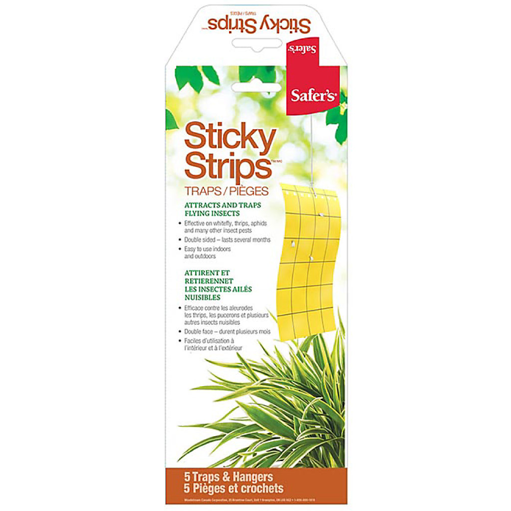 Safers Sticky Strips 5pk