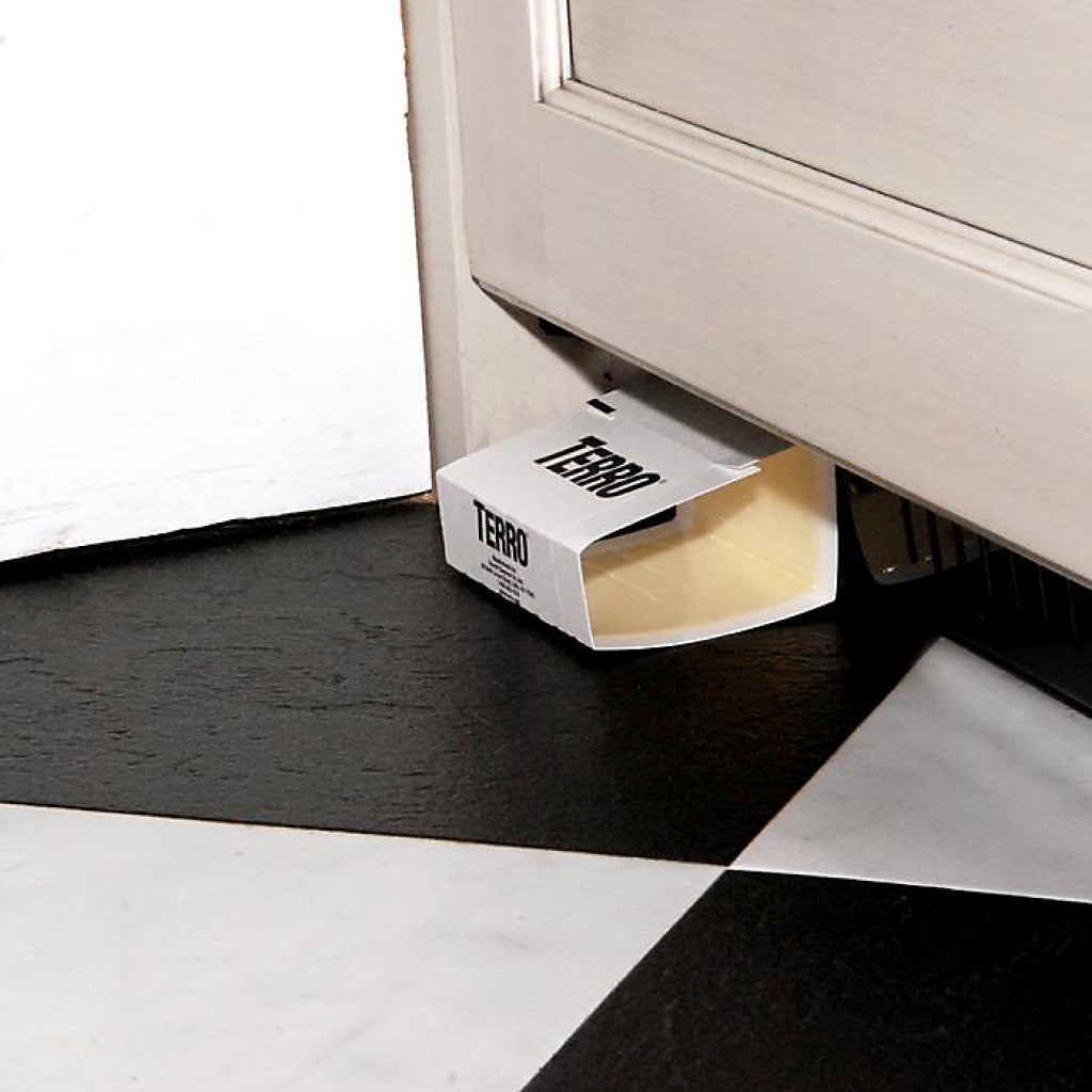 Terro Spider & Insect Trap