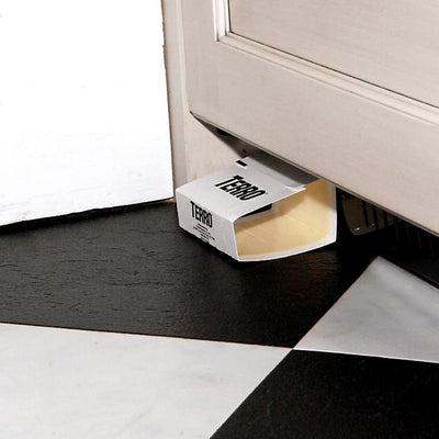 Terro Spider & Insect Trap