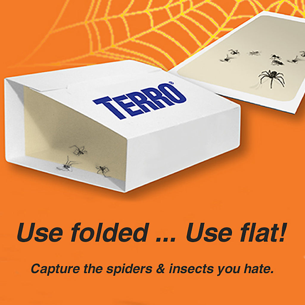 Terro Spider & Insect Trap