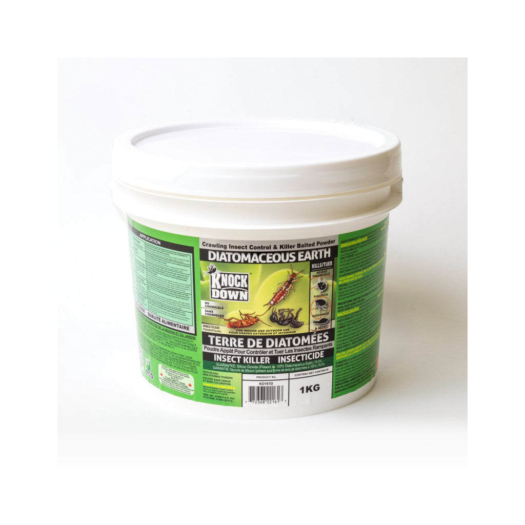 Terre de Diatomées Insectes Rampants 1 KG