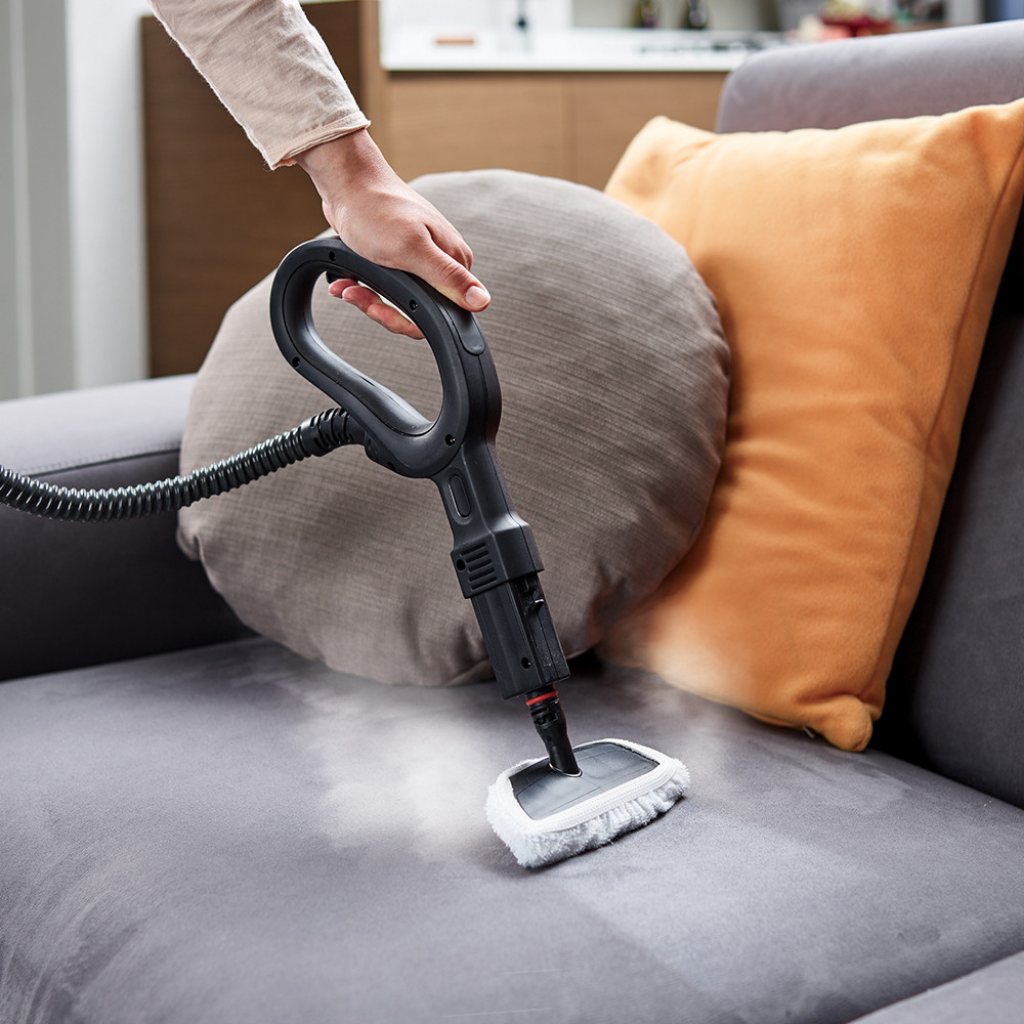 Polti Vaporetto Smart 100