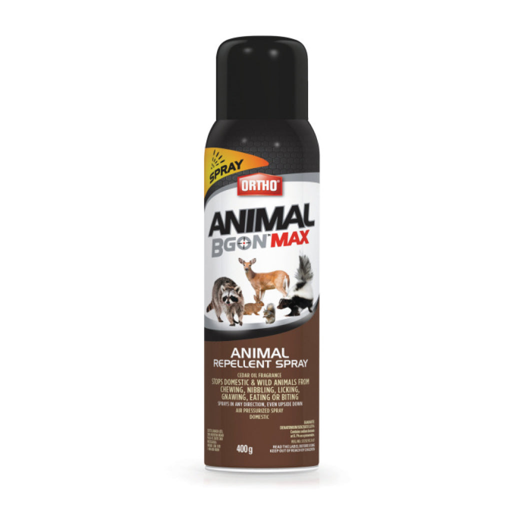 Ortho Animal B Gon Bov Aerosol 400g