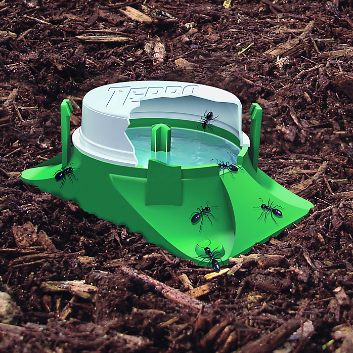 Appâts liquides pour fourmis Terro Outdoor