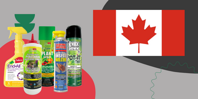 Pyrethrin Spray Canada: Information and How to Use It
