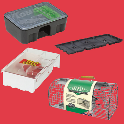 Rat Traps for Sale That You Can Consider Using