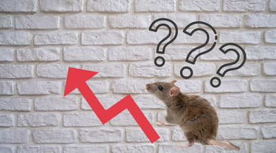 Can Mice Climb Walls?