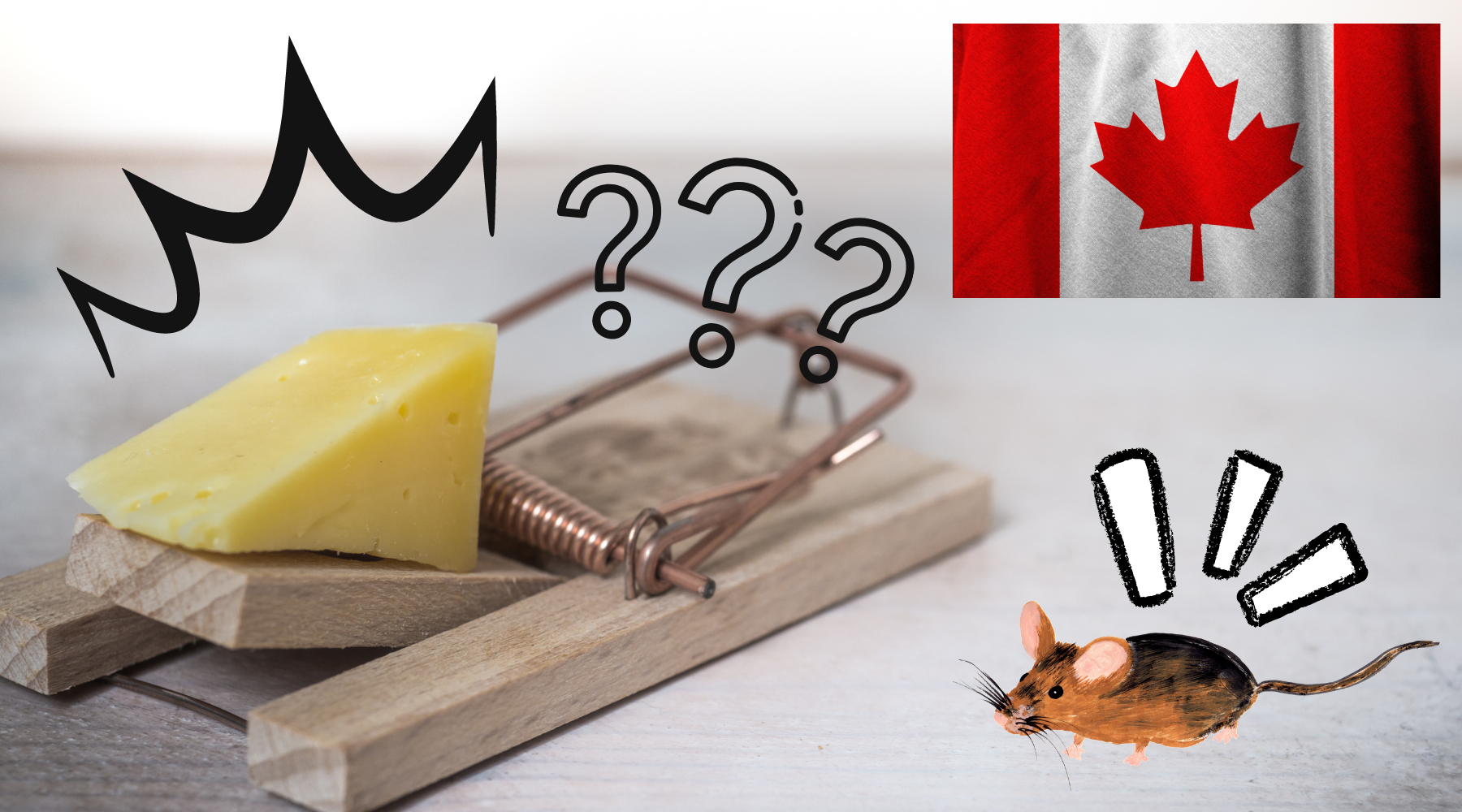 Best Mouse Traps Canada Pest Supply Canada Best mouse traps canada pest supply canada