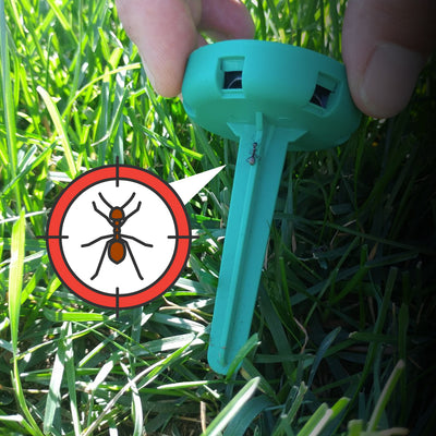 How to Use Ant Bait Stations Effectively