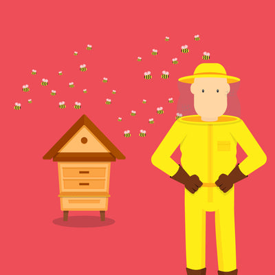 How to Safely Remove a Hornet/Wasp Nest