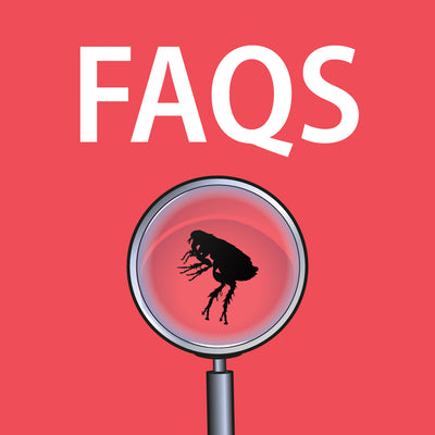 Fleas FAQs- Common Questions and Answers about Fleas