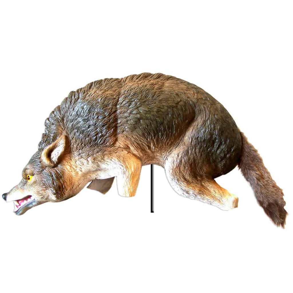 3D Coyote Life Like Predator Decoy