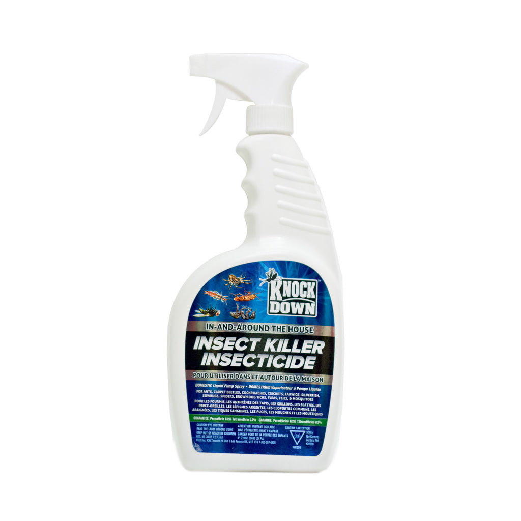 In and Around the House Bug Killer 950mL