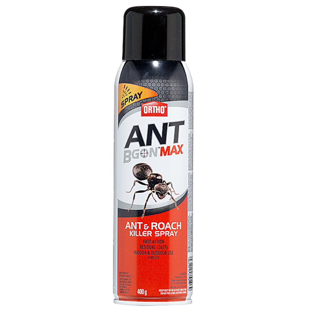 Ortho Ant B Gon Max Ant And Roach Killer Spray 400g – Pest Supply Canada