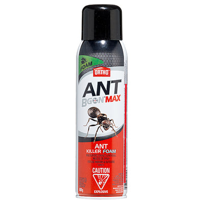 Mousse anti-fourmis Ortho Ant B Gon Max 400 g
