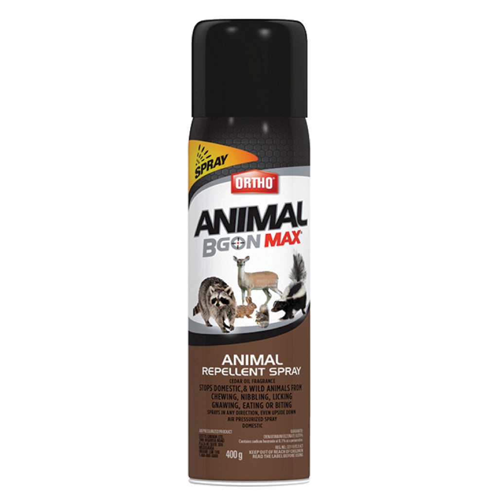 Ortho Animal B Gon Bov Aerosol 400g