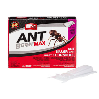 Ortho Ant B Gon Max Appât anti-fourmis 6x10g