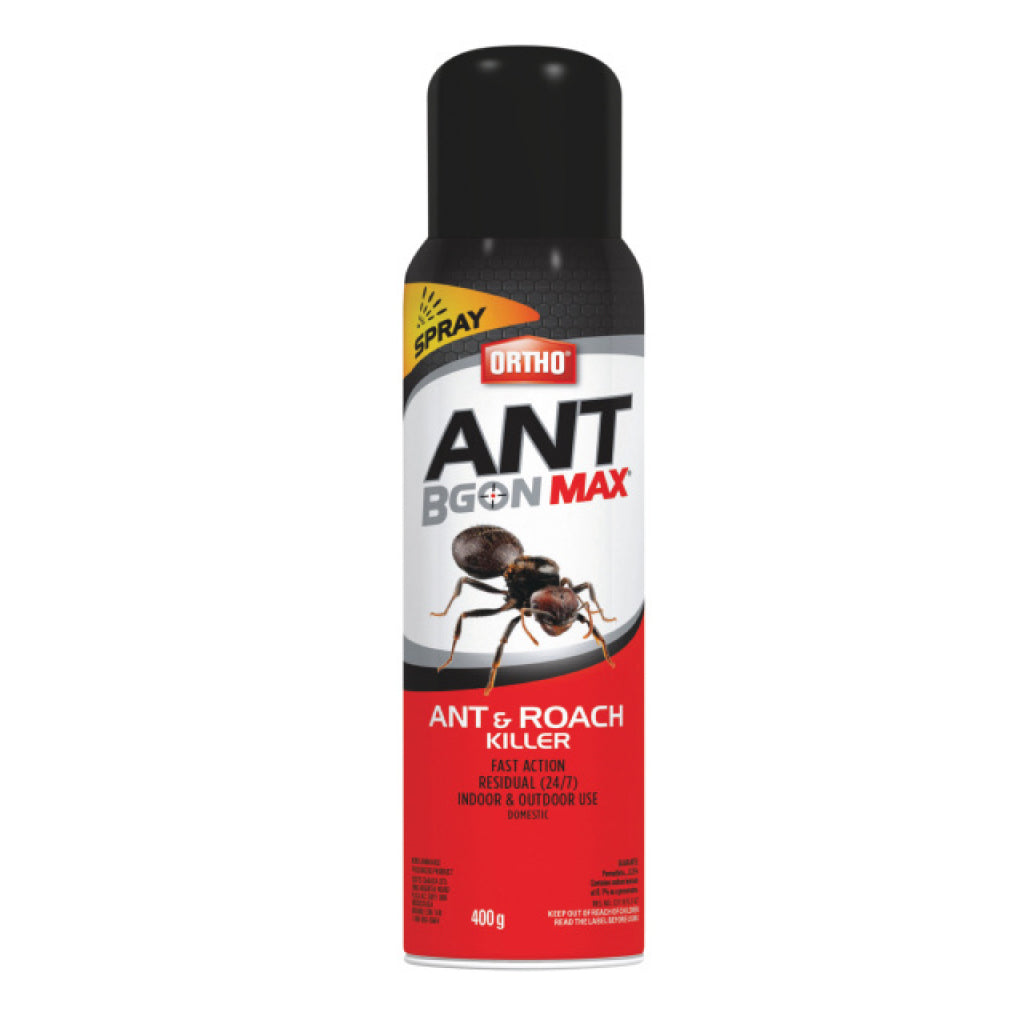 Ortho Ant B Gon Max Ant and Roach Killer Spray  400g