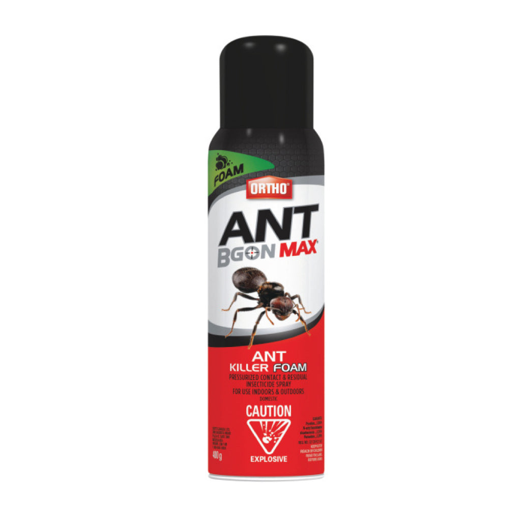 Mousse anti-fourmis Ortho Ant B Gon Max 400 g