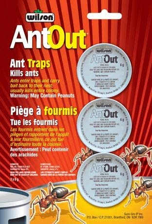 Ant Trap (3pk)