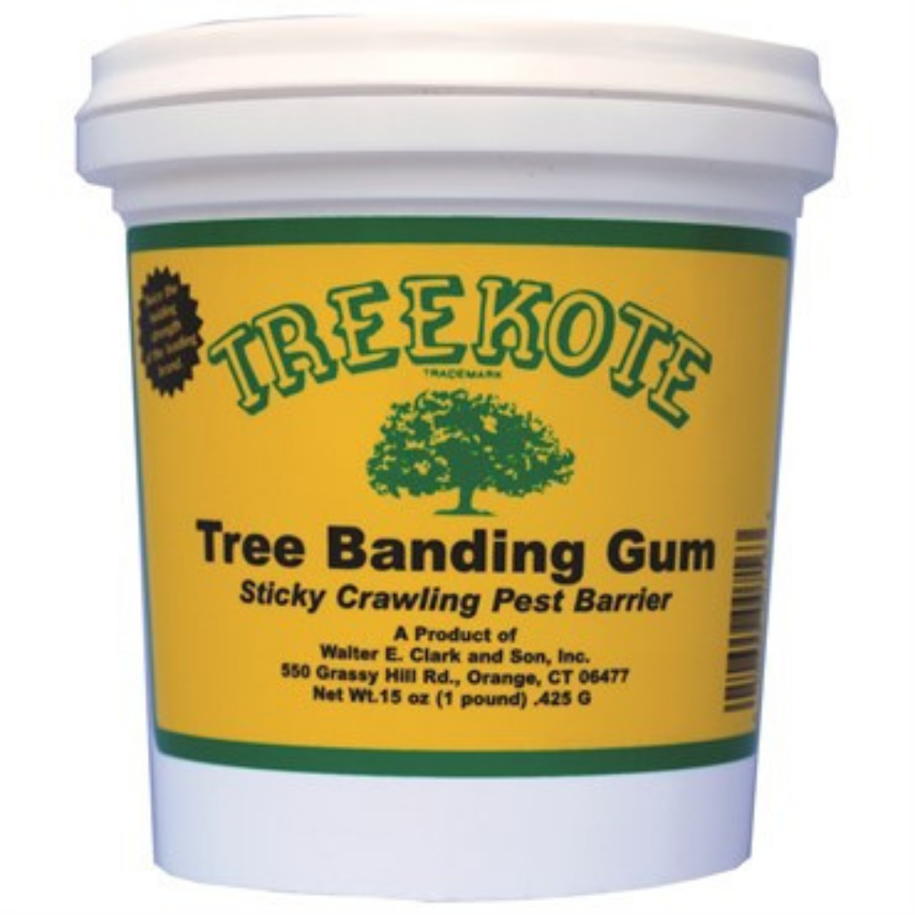 Clark's Treekote Tree Banding Gum 15oz Tub