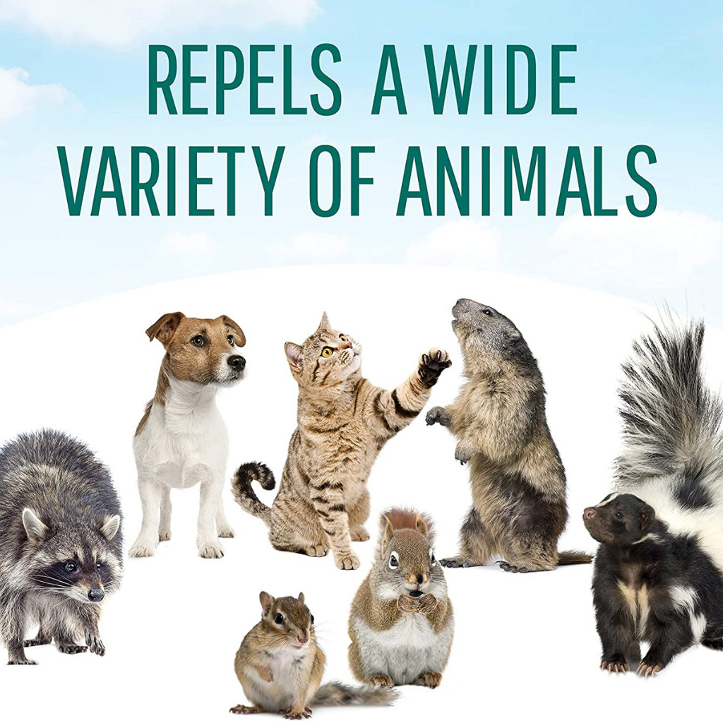 Critter Ridder Granules – Pest Supply Canada