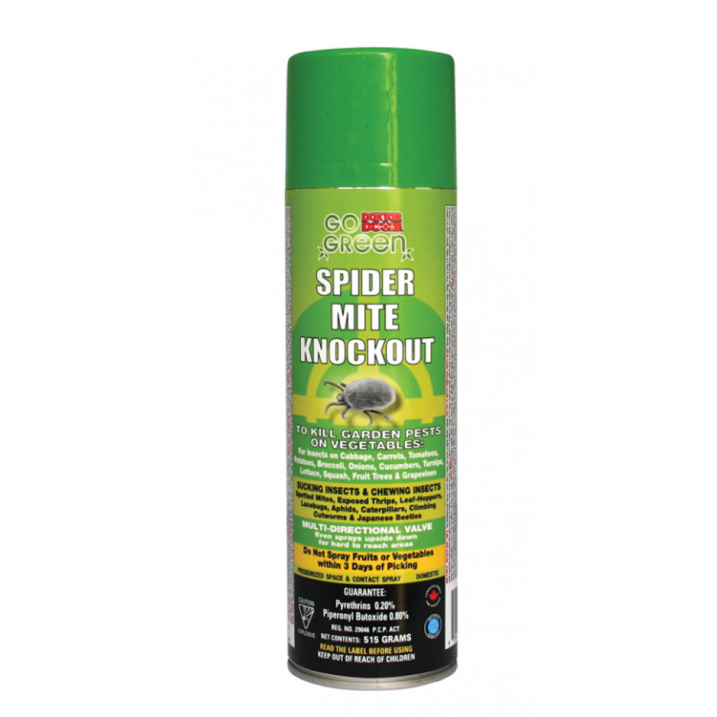 How to Know You Have Spider Mites and What to Do About It – Pest Supply ...