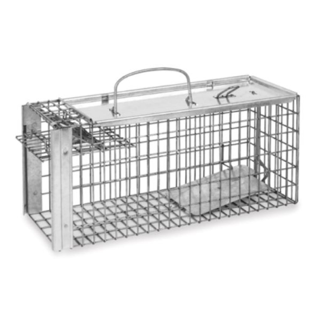 Rat Cage Trap